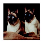 Siamese 3 Tile Coaster