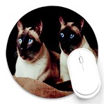 Siamese 3 Round Mousepad