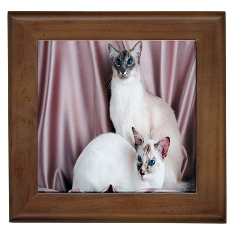 Siamese 2 Framed Tile from ArtsNow.com Front