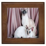 Siamese 2 Framed Tile