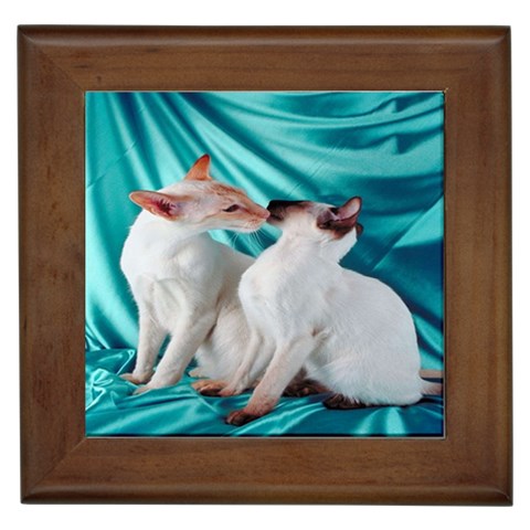 Siamese Kissy Kissy Framed Tile from ArtsNow.com Front