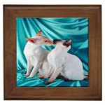 Siamese Kissy Kissy Framed Tile