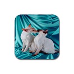 Siamese Kissy Kissy Rubber Coaster (Square)