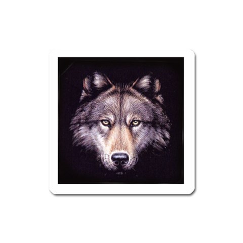 wolf Magnet (Square) from ArtsNow.com Front