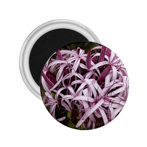 purple flowers 2.25  Magnet from ArtsNow.com Front