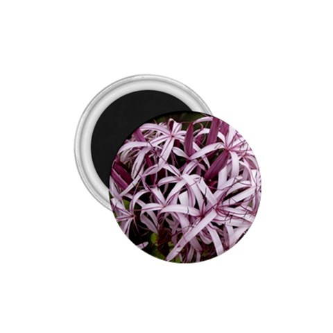 purple flowers 1.75  Magnet from ArtsNow.com Front