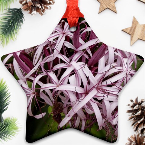 purple flowers Ornament (Star) from ArtsNow.com Front