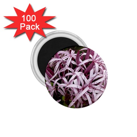 purple flowers 1.75  Magnet (100 pack)  from ArtsNow.com Front