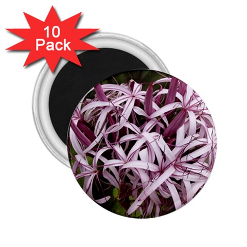 purple flowers 2.25  Magnet (10 pack) from ArtsNow.com Front