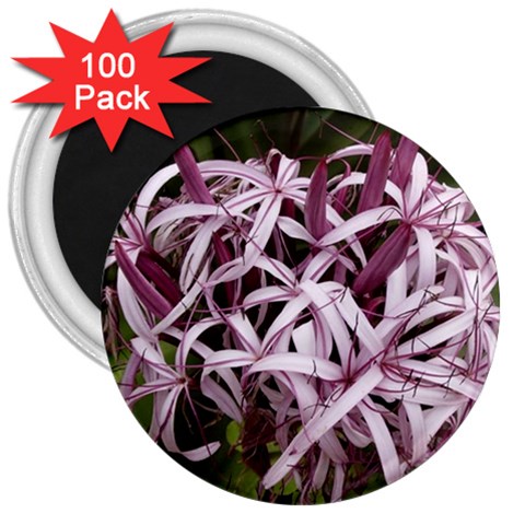 purple flowers 3  Magnet (100 pack) from ArtsNow.com Front