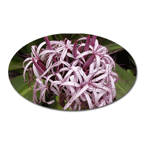 purple flowers Magnet (Oval) from ArtsNow.com Front