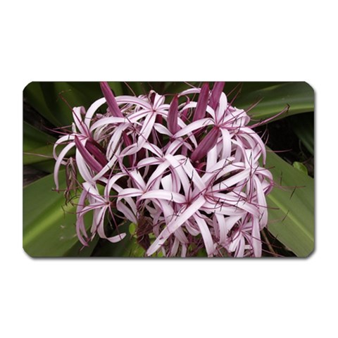 purple flowers Magnet (Rectangular) from ArtsNow.com Front