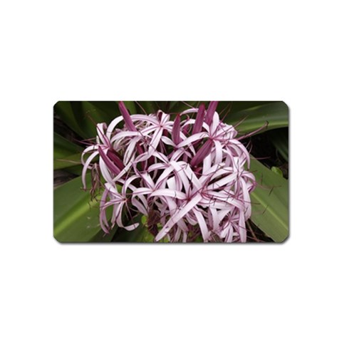 purple flowers Magnet (Name Card) from ArtsNow.com Front