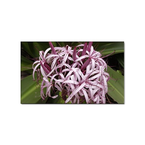 purple flowers Sticker Rectangular (10 pack) from ArtsNow.com Front