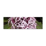 purple flowers Sticker Bumper (100 pack)