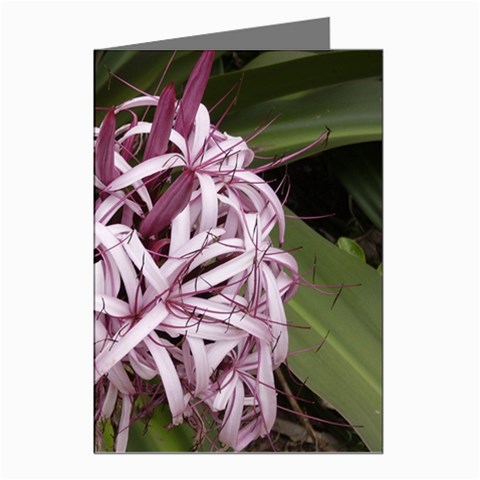 purple flowers Greeting Cards (Pkg of 8) from ArtsNow.com Left