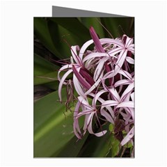 purple flowers Greeting Cards (Pkg of 8) from ArtsNow.com Right