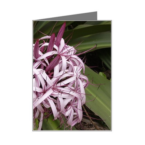 purple flowers Mini Greeting Card from ArtsNow.com Left