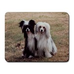 Chinese Crested full hair Small Mousepad