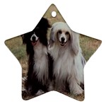 Chinese Crested full hair Ornament (Star)