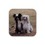 Chinese Crested full hair Rubber Coaster (Square)