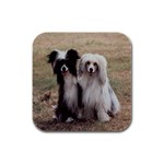 Chinese Crested full hair Rubber Square Coaster (4 pack)