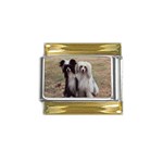 Chinese Crested full hair Gold Trim Italian Charm (9mm)