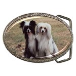 Chinese Crested full hair Belt Buckle