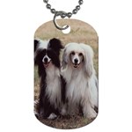 Chinese Crested full hair Dog Tag (Two Sides)
