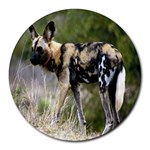 African Wild Dog Round Mousepad
