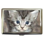 Pictures_of_Kittens_Cats-Kitten_Head Cigarette Money Case