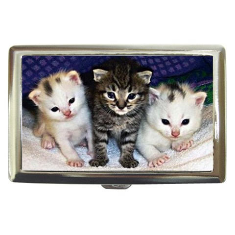 cats_wideweb__470x312,0 Cigarette Money Case from ArtsNow.com Front