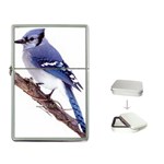 wild_birds_bluejay Flip Top Lighter