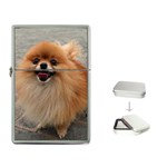 pets Flip Top Lighter