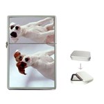 pets Flip Top Lighter