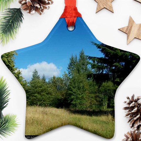 land2 Ornament (Star) from ArtsNow.com Front