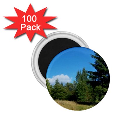 land2 1.75  Magnet (100 pack)  from ArtsNow.com Front