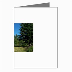 land2 Greeting Cards (Pkg of 8) from ArtsNow.com Left