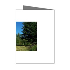 land2 Mini Greeting Cards (Pkg of 8) from ArtsNow.com Left