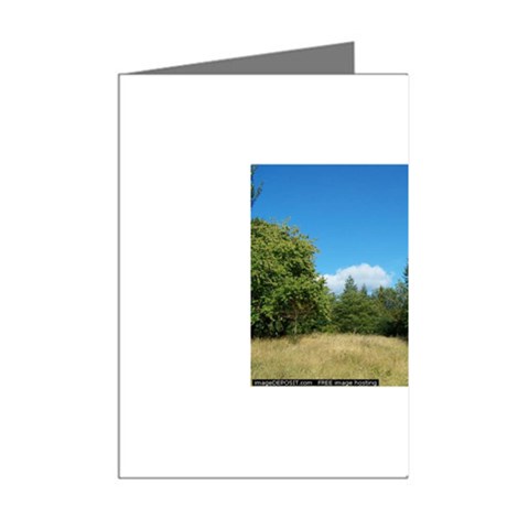 land2 Mini Greeting Cards (Pkg of 8) from ArtsNow.com Right