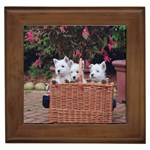 West Highland white terriers Framed Tile