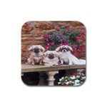 Tibetan Terriers Rubber Square Coaster (4 pack)