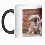 Tibetan Terriers Morph Mug