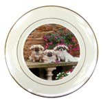 Tibetan Terriers Porcelain Plate