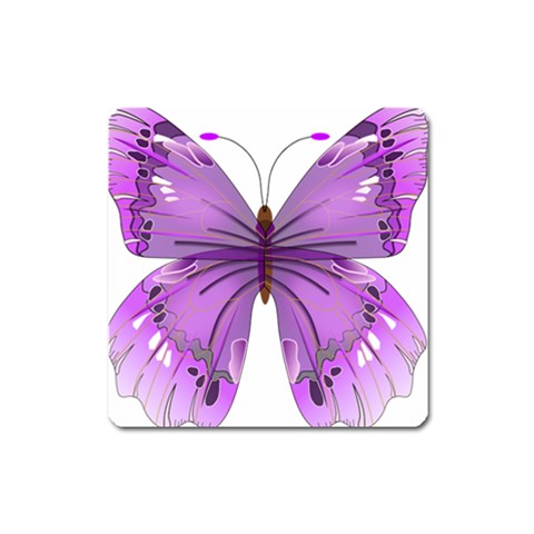 Purple Awareness Butterfly Magnet (Square) from ArtsNow.com Front