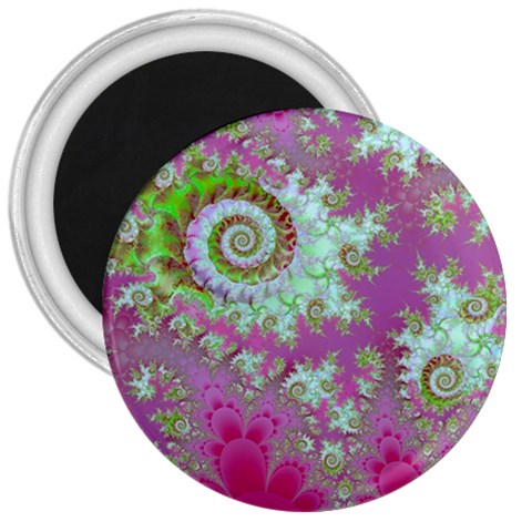 Raspberry Lime Surprise, Abstract Sea Garden  3  Button Magnet from ArtsNow.com Front