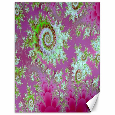 Raspberry Lime Surprise, Abstract Sea Garden  Canvas 12  x 16  (Unframed) from ArtsNow.com 11.86 x15.41  Canvas - 1