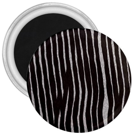 Zebra 3  Magnet from ArtsNow.com Front