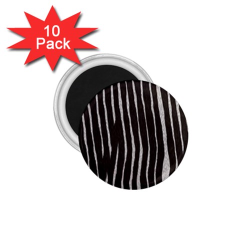 Zebra 1.75  Magnet (10 pack)  from ArtsNow.com Front