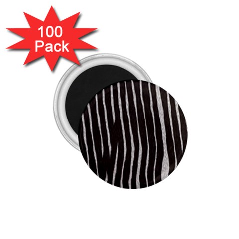 Zebra 1.75  Magnet (100 pack)  from ArtsNow.com Front